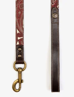 Penelope Chilvers Paisley Dog Lead